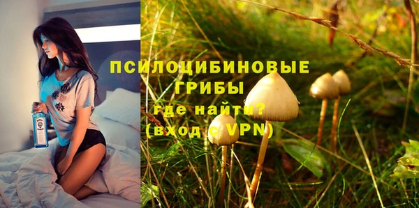 spice Алексин